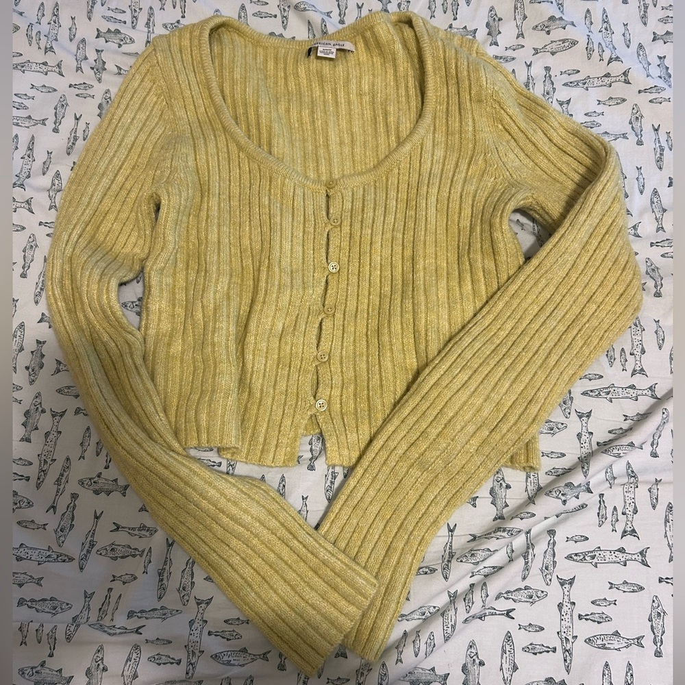 American eagle sweater top